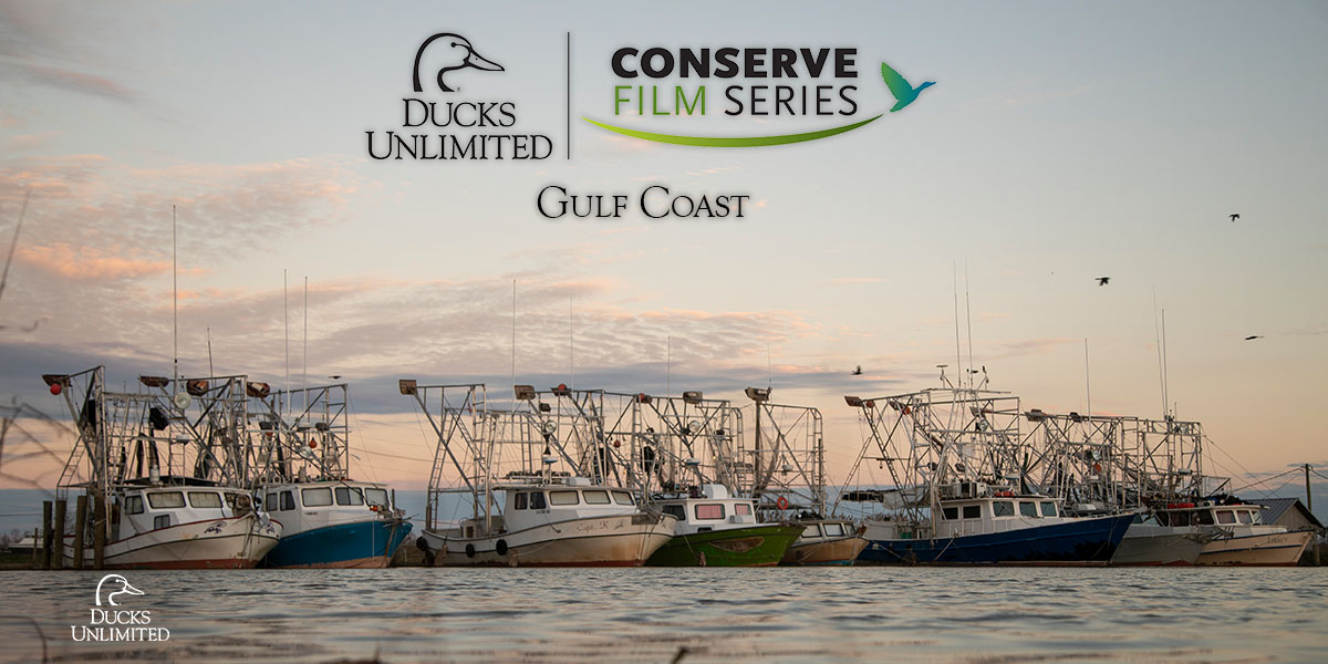 1200xx600 title Gulf Coast